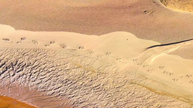 Animal Footprints on Sandy Riverbank beside Muddy Pool in Tambopata, Peru, Aerial