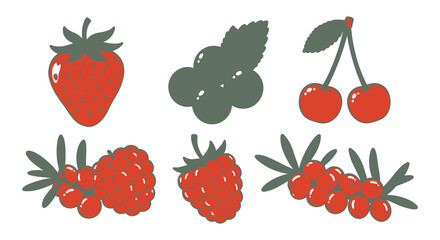 A collection of colorful berries and fruits on a white background