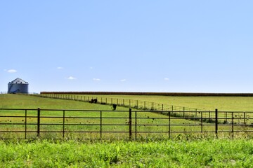 Fototapeta premium Farm Field
