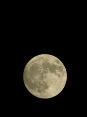 full moon in the night