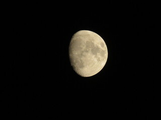 Half Moon In The Night Sky