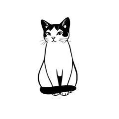 Obraz premium black cat on white background