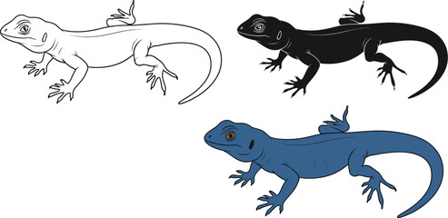 Lizard illustration set reptile drawing vector images isolated