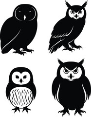 Flat vector illustration of different owl species, night birds, silent hunters, majestic wildlife, detailed feathers, wild nature, nocturnal animals, bird silhouettes, owl collection.