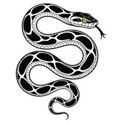 black and white snake
