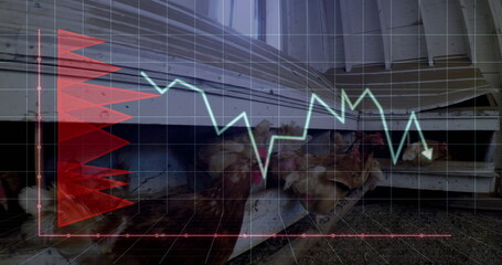 Pecking brown hens feeding at wooden trough inside weathered poultry coop, with chart overlays
