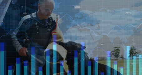 Mature farmer wearing denim overalls petting dairy cow in pasture, with digital overlay