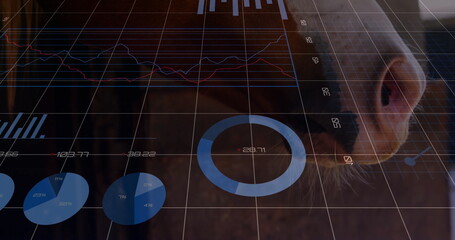 Emerging cow muzzle carrying pie charts, line graphs, gauge, grid overlay at barn, copy space