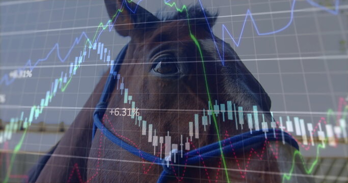 Merging brown horse wearing halter into digital overlay with candlesticks, line graphs +6 - Powered by Adobe