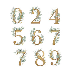 Obraz premium Gold numbers with eucalyptus leaves isolated on transparent background