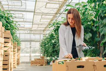 Female agricultural worker in white lab coat inspecting fresh cucumbers in greenhouse, surrounded...