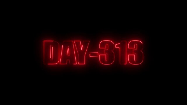 Neon text day-313 animation on black background.calender, text,number, days, date, countdown neon text concept.