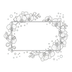 Orchid floral border with empty rectangle for text isolated on transparent background