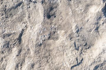 Close-up of a textured limestone rock surface with natural patterns and light shadows across its rough and uneven surface.