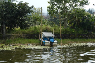 Fototapeta premium Old Motorboat by the Shore Among Tall Grass and Water Lilies