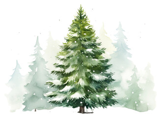 Obraz premium PNG Christmas tree plant snow.