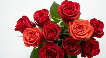 Obraz premium Vibrant Red and Orange Roses Bouquet on White Background, Close-up