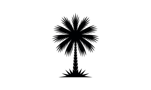 palm tree minimalist and flat logo, palmetto logo, silhouette vector illustration, black and white background  