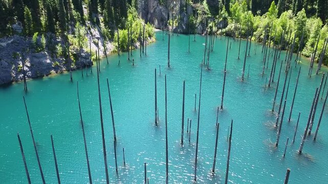 Sun reflecting on turquoise water surface surrounding submerged trees in Kaindy lake