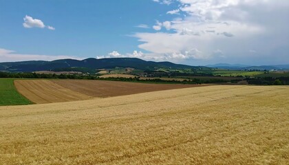 Panoramic rural landscape