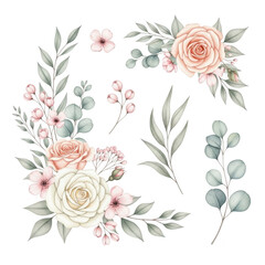 Floral elements with roses and eucalyptus isolated on transparent background