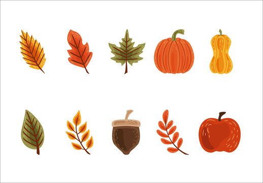 Green And Orange Autumn Leaves Seasonal Illustrations Set