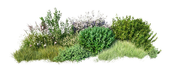 PNG Group of different bushes plants green illustration.