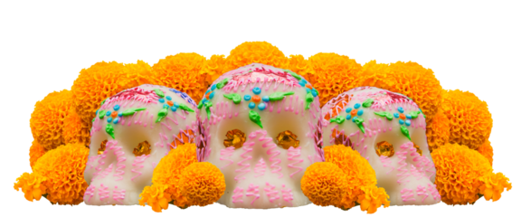 Day of the Dead sugar skulls with marigold flowers transparent background
