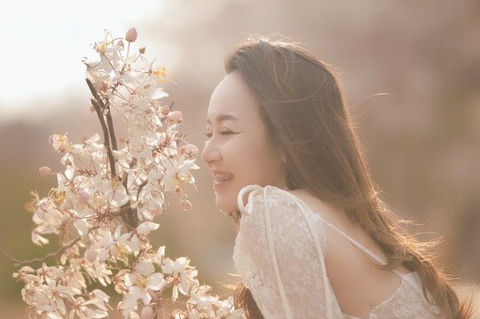 Side view of a smiling young woman wearing braces standing in a field by a cherry blossom tree in full bloom, Thailand