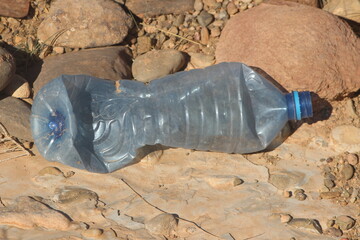 A plastic bottle lying on the ground, Plastic pollution, Plastic environmental impact