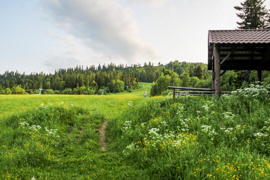 large pasture, distant guy, gray paita, distant view, path in the grass, wooden building, far plan, yellow wildflowers, abundant, meadow, mountains, summer