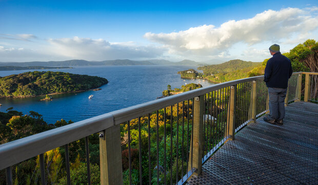 Rear view of a Man standing  on Observation Rock Viewpoint looking at a rainbow over Paterson Inlet and Ulva Island, Oban, Stewart Island, South Island, New Zealand