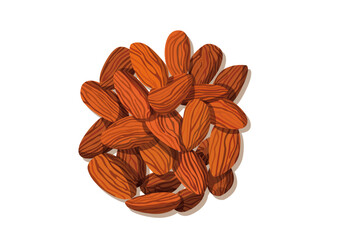 almond nut isolated on white background illustration vector