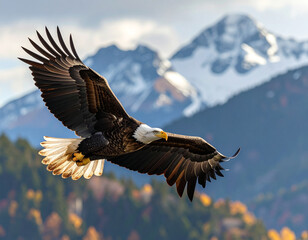 Fototapeta premium badass eagle in flight