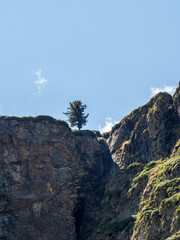 Lonely tree on cliff edge in Cirque de Troumouse, French Pyrenees