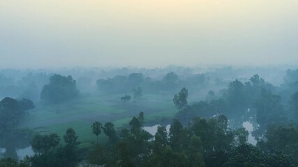 Bogura, Bangladesh - 21 August 2025: Aerial view of a tranquil landscape with dense trees shrouded in a mysterious fog, creating an ethereal, dreamlike scene.