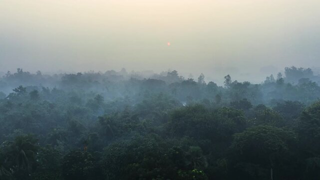 Bogura, Bangladesh - 21 August 2025: Aerial view of a dense forest shrouded in a mystic fog, with the sun barely visible through the hazy atmosphere.