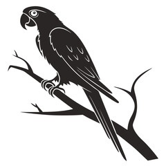 vector illustration of a bird © Imran Vector Master