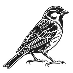 bird on a branch