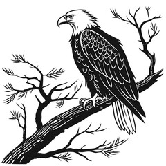 eagle on a white background