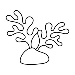 Coral vector icon. Seaweed illustration sign. Algae symbol or logo. seaware web icon.