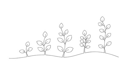 realistic continuous line drawing of step of tree growth jpg on white background