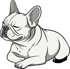 French bulldog puppy.