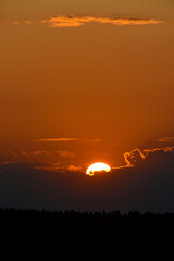 The setting sun in summer. The sun circle and the forest on the horizon.  The sun goes behind a cloud in the evening.