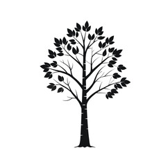 Obraz premium Minimalist birch tree silhouette icon for nature and forest designs