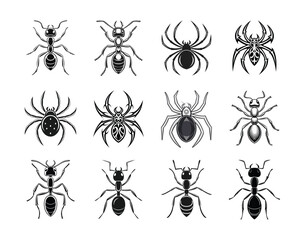 Ant and Spider Insect Set - Black and White Illustrations of Creepy Crawlies