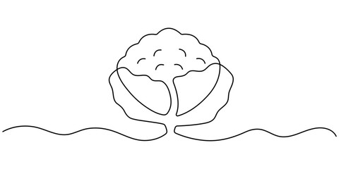 Continuous line drawing of whole healthy organic cauliflower broccoli for farm logo identity. One line art concept for fresh vegetable icon. Vector illustration. 