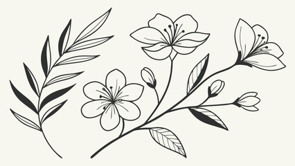 floral elements vector illustration trendy tiny tattoo design minimal botanical drawing.eps
