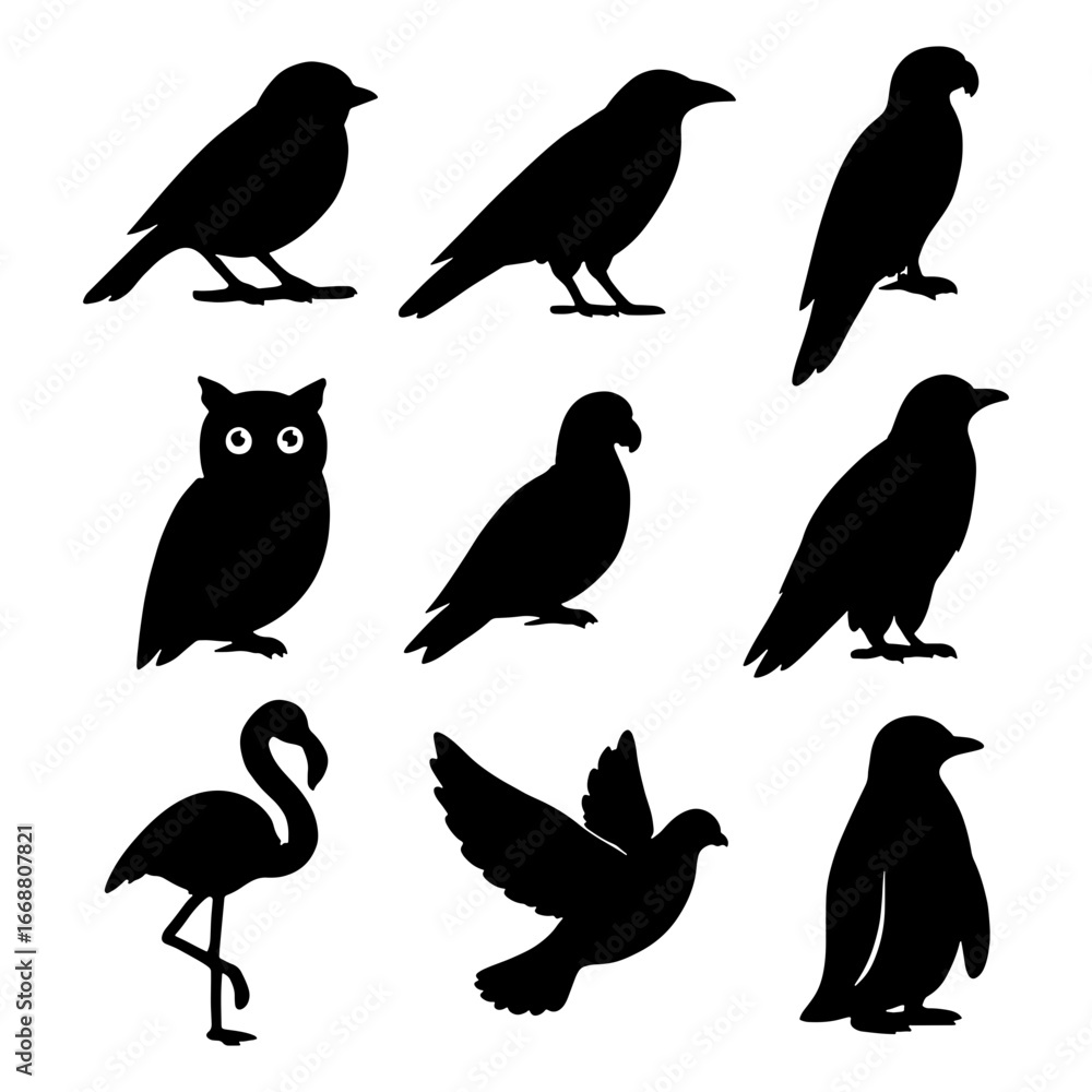 Poster silhouette collection showing nine distinct bird species in a simple black and white design style