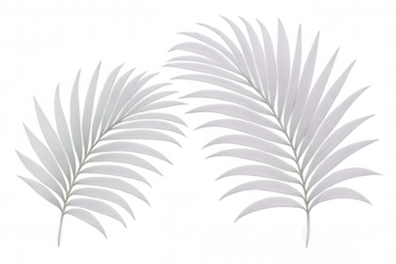 White palm fronds casting soft tropical vibes, creating airy minimalist aesthetic with clean transparent backdrop